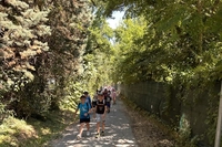IMG 7139 1