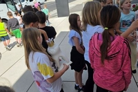 1000026588 1