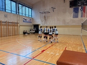 IMG 4106 1